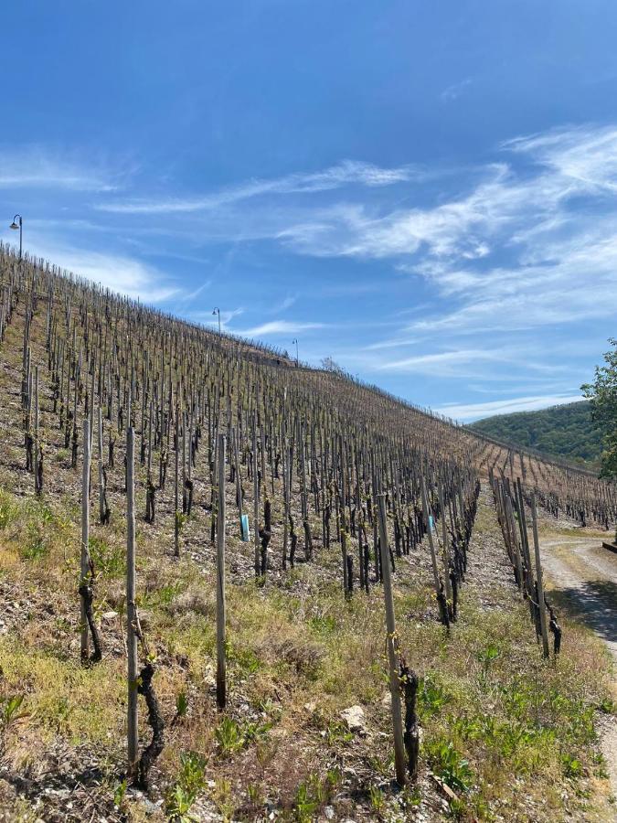 Wein Und Gastehaus Marlene Pohl Otel Kinheim Dış mekan fotoğraf