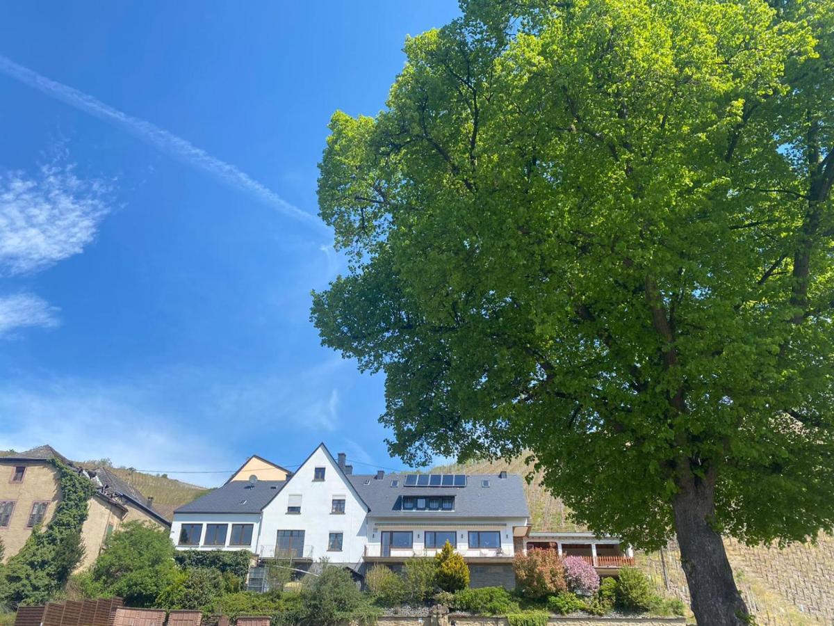 Wein Und Gastehaus Marlene Pohl Otel Kinheim Dış mekan fotoğraf
